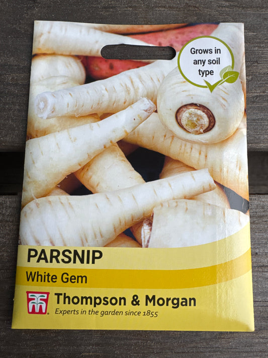 SEEDS - Parsnip White Gem