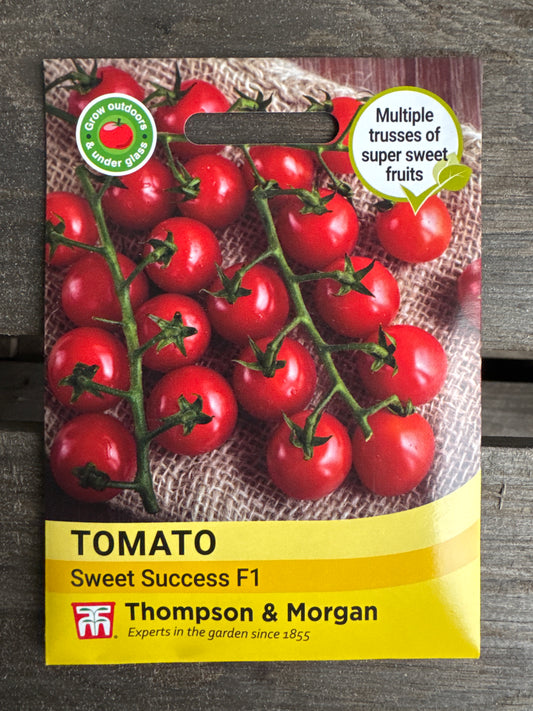 SEEDS - Tomato Sweet Success F1