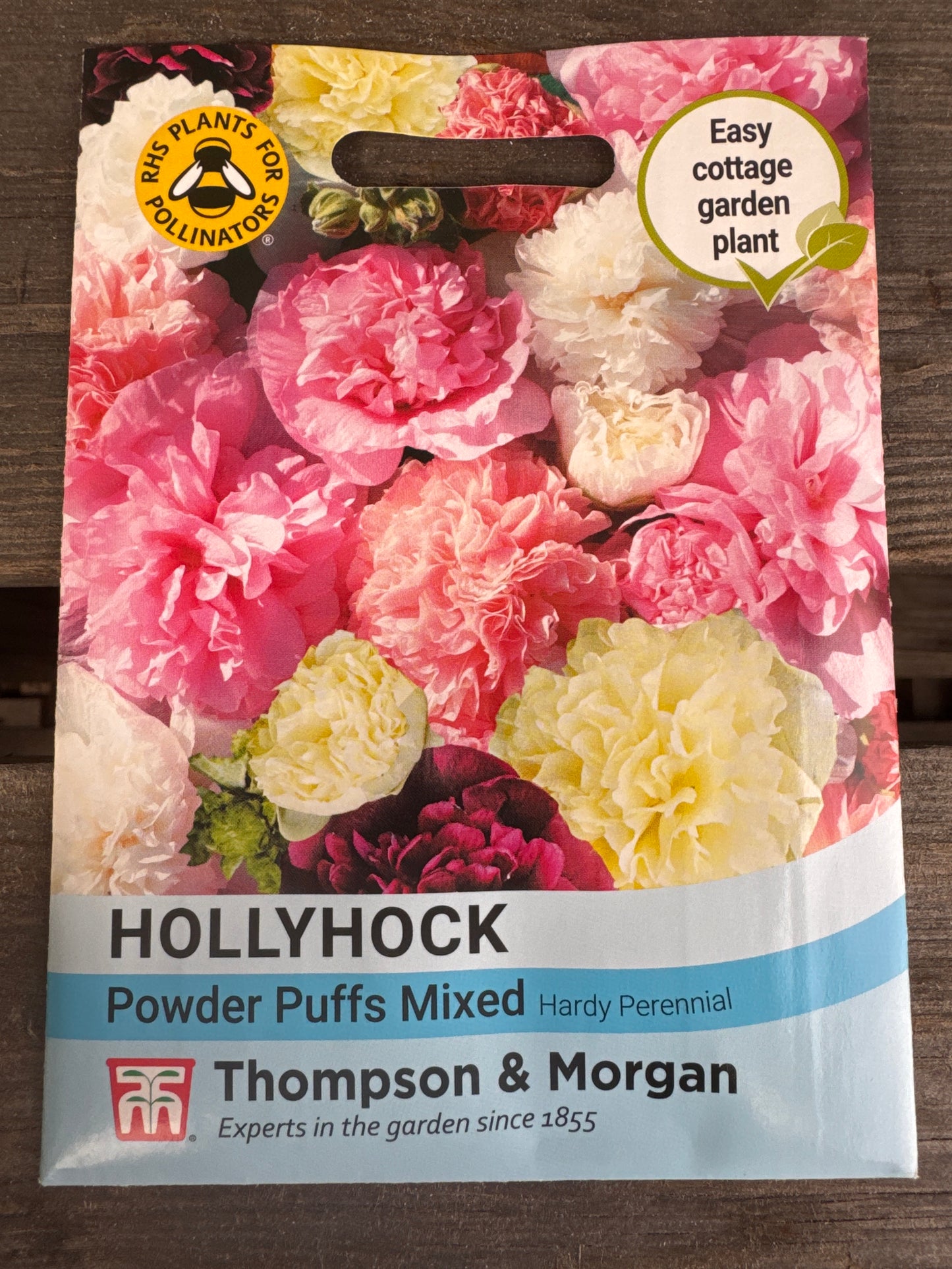 SEEDS - Hollyhock Powder Puffs Mixed