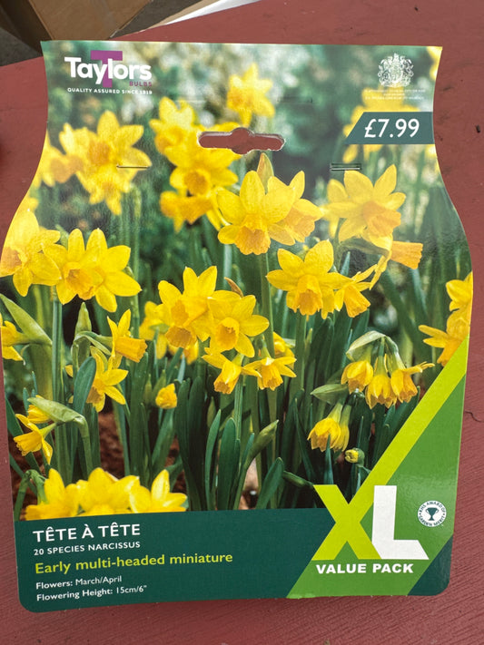 Daffodils Narcissus Species Tete-a-Tete (20 bulbs)