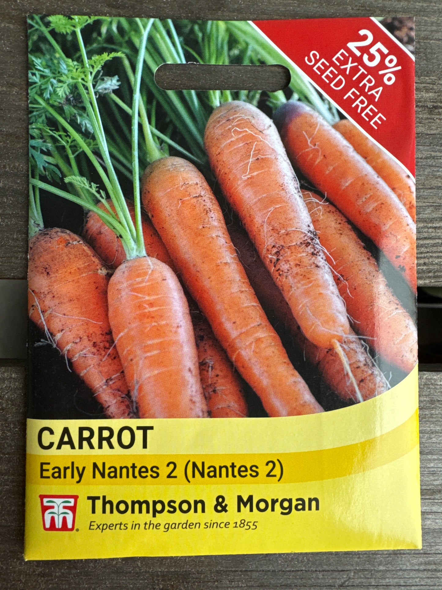 SEEDS - Carrot Early Nantes 2 (Nantes 2)