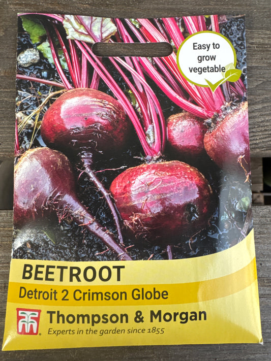 SEEDS - Beetroot Detroit 2 Crimson Globe