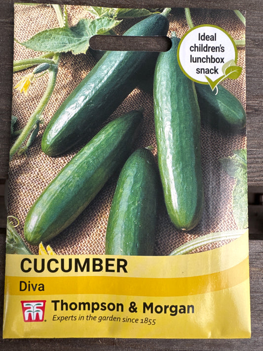 SEEDS - Cucumber Diva