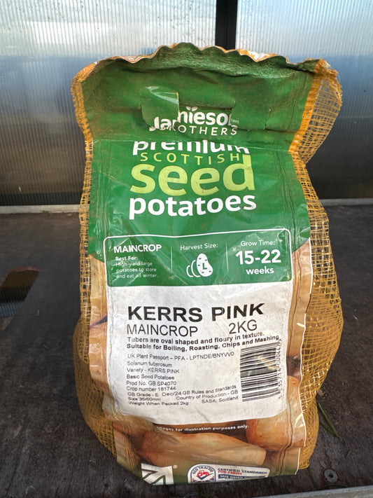 Kerrs Pink - Seed Potatoes - Main Crop - 2Kg