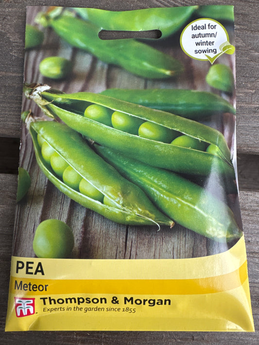 SEEDS - Pea Meteor