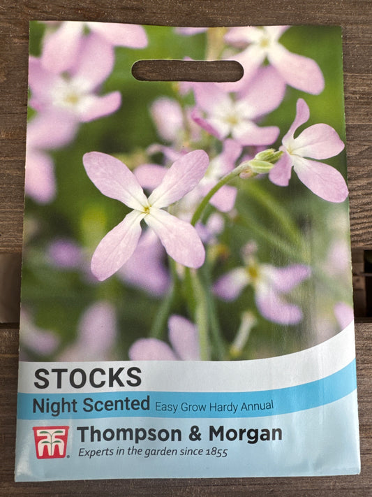 SEEDS - Stocks Night Scented
