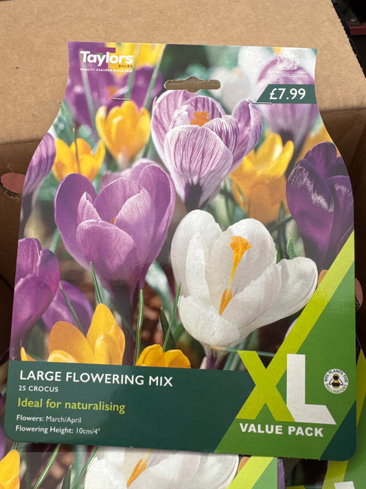 Crocus Large Flowering Mix (25 bulbs)