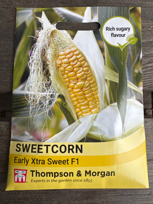 SEEDS - Sweetcorn Early Xtra Sweet F1