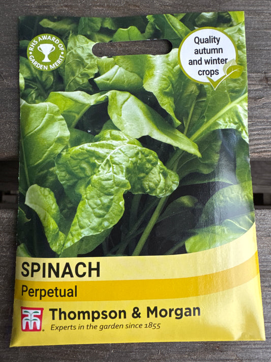 SEEDS - Spinach Perpetual