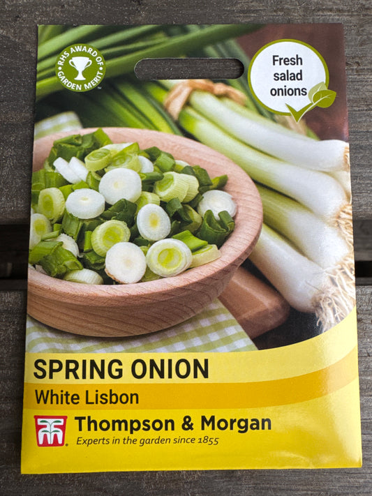 SEEDS - Spring Onion White Lisbon