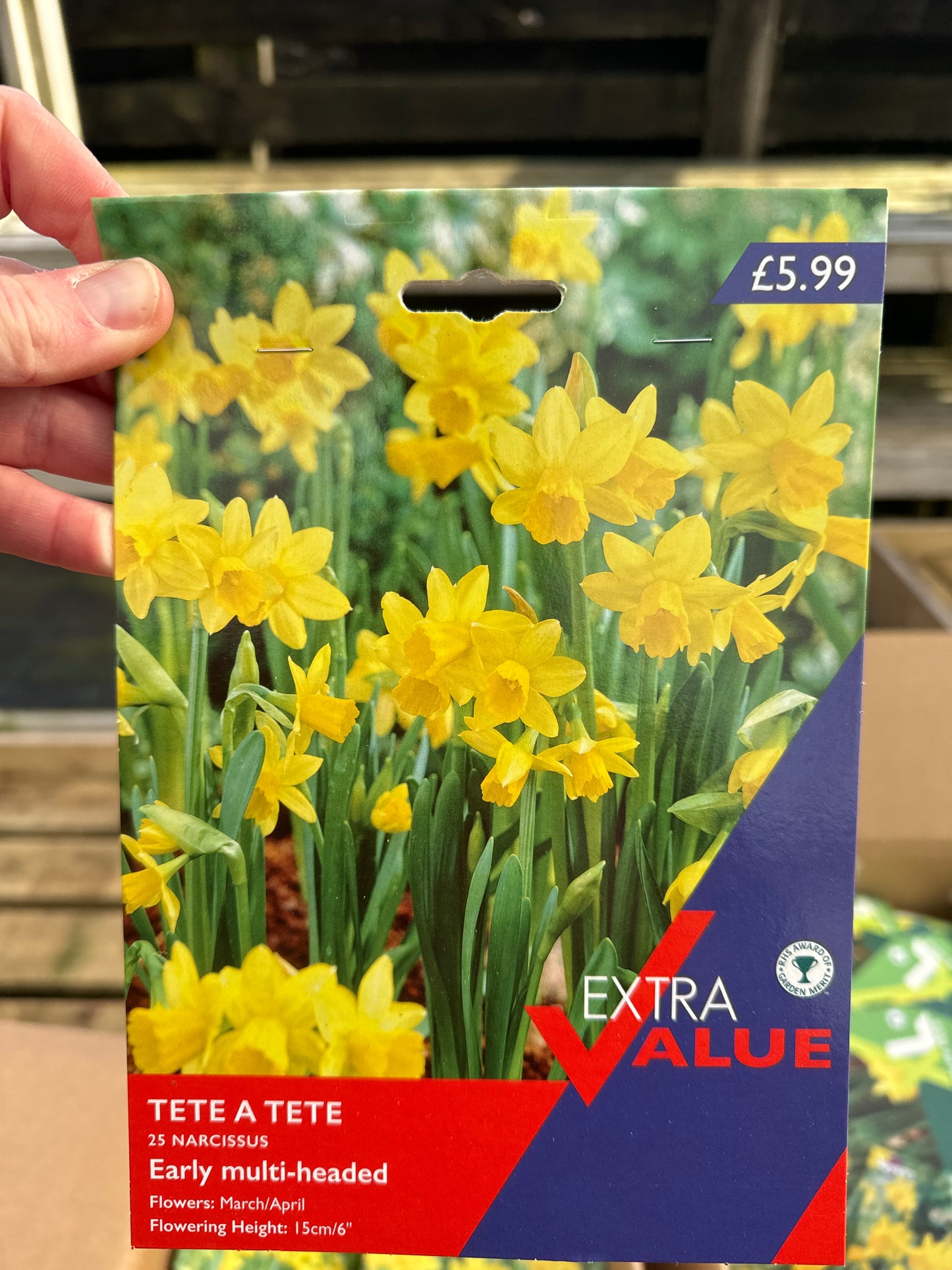 Narcissus Tete A Tete (25 bulbs per pack) size 8-10cm