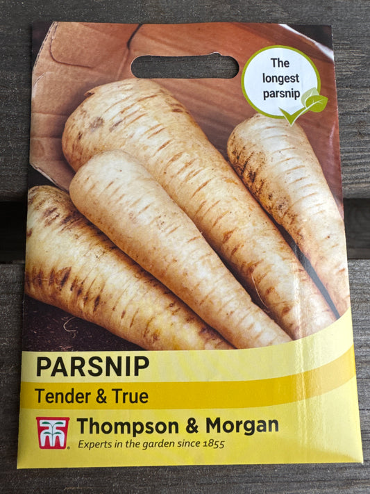 SEEDS - Parsnip Tender & True