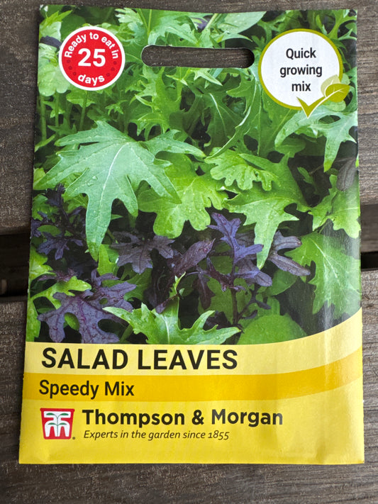 SEEDS - Salad Leaves - Speedy Mix