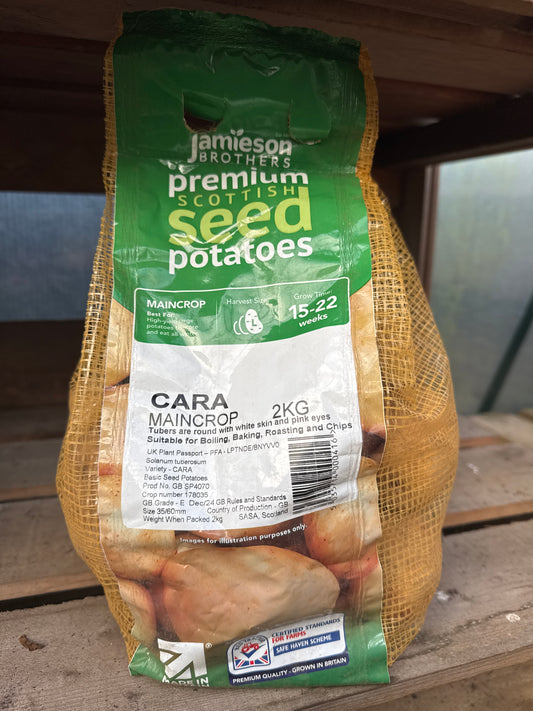 Cara - Seed Potatoes - Main Crop - 2Kg