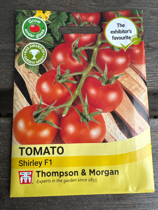 SEEDS - Tomato Shirley F1