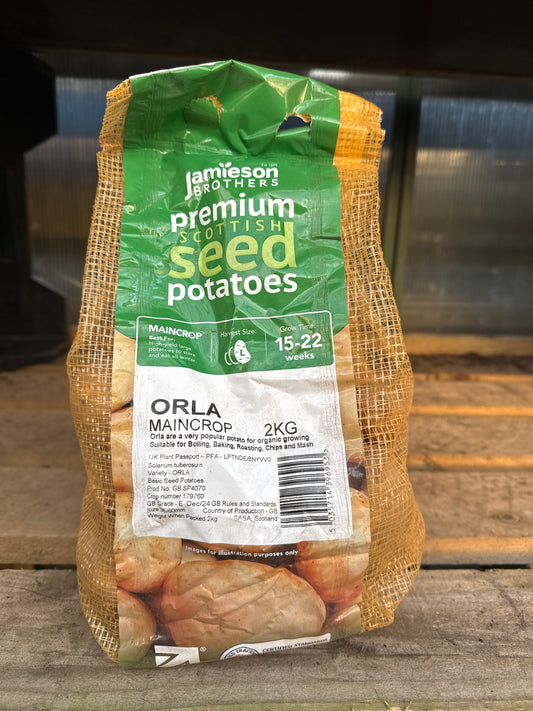 Orla - Seed Potatoes - Main Crop - 2Kg