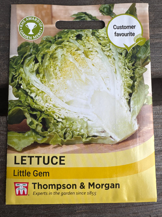 SEEDS - Lettuce Little Gem