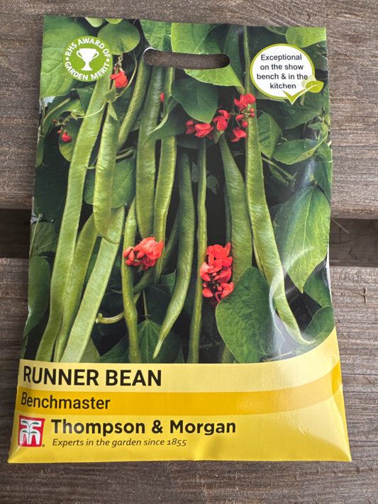 SEEDS - Runner Bean Benchmaster
