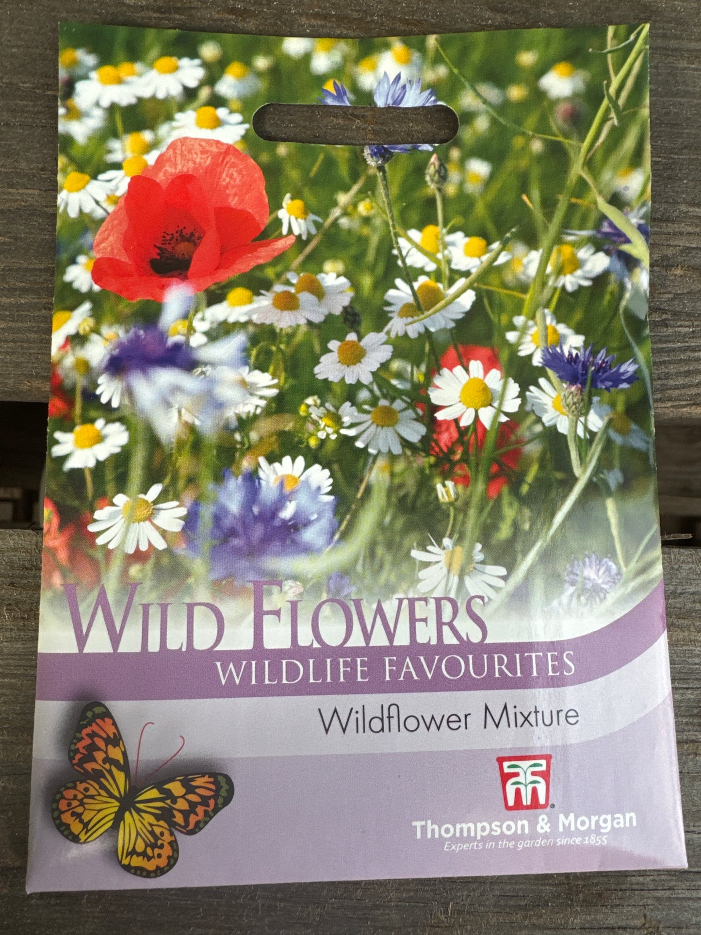 SEEDS - Wild Flower Mixture