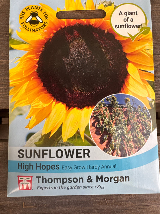 SEEDS - Sunflower High Hopes