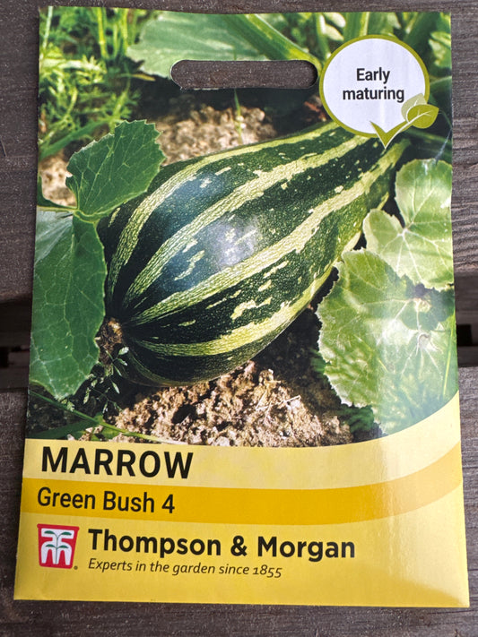 SEEDS - Marrow Green Bush 4