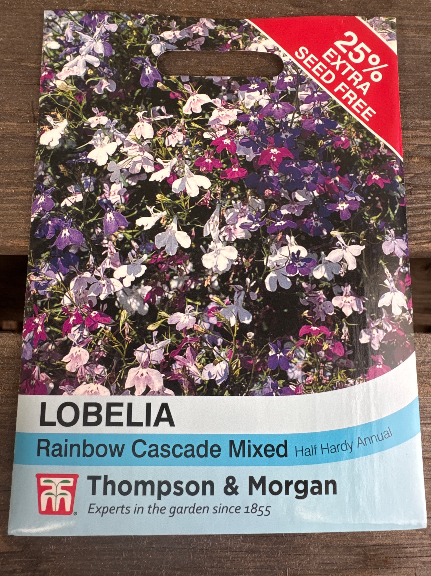 SEEDS - Lobelia (Trailing) Rainbow Cascade Mixed