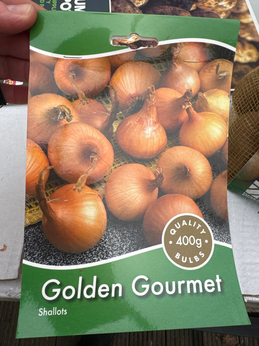 Golden Gourmet Shallot 400g