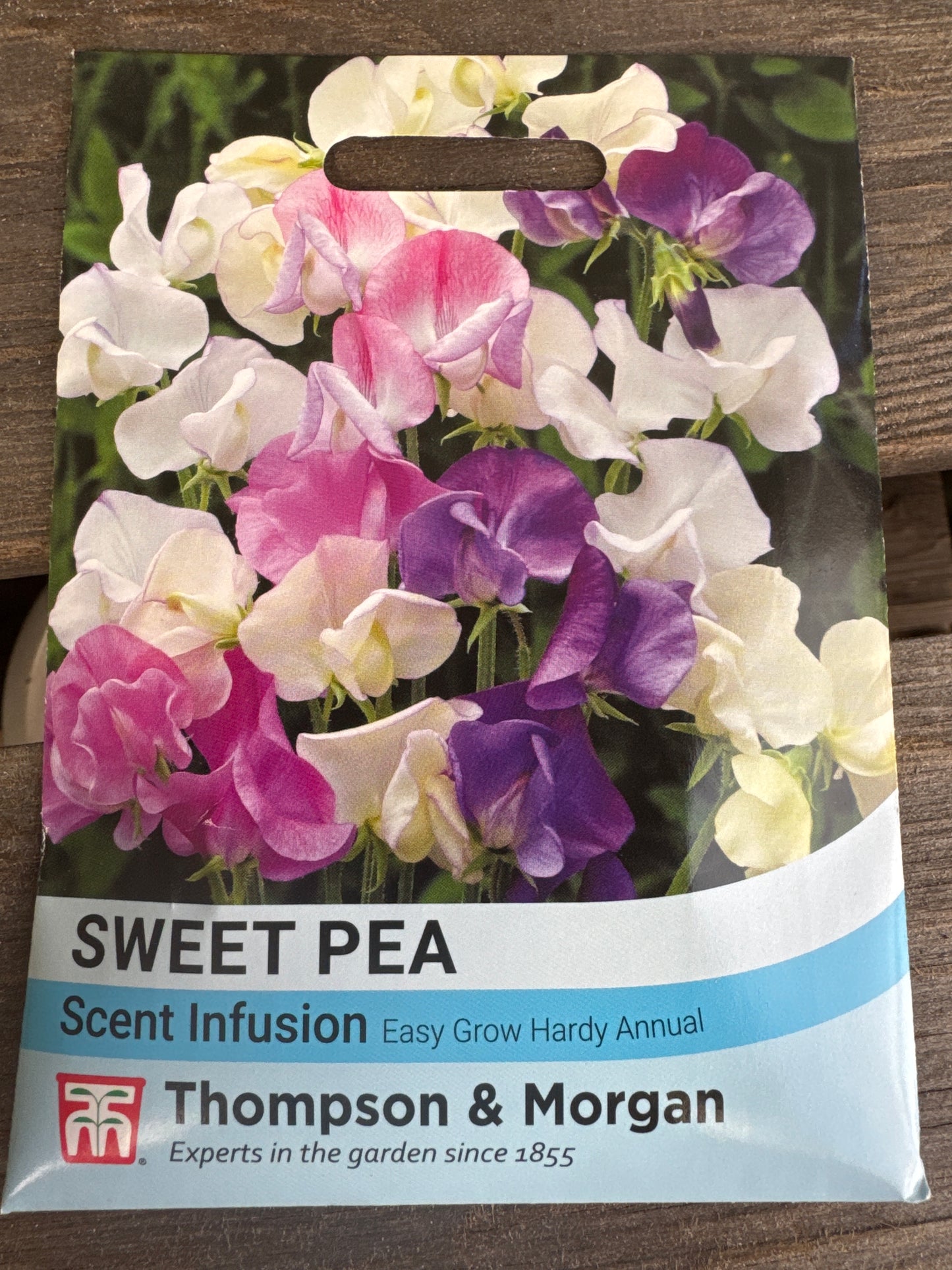 SEEDS - Sweet Pea Scent Infusion