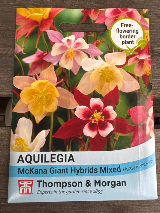 SEEDS - Aquilegia McKana Giant Hybrids Mixed