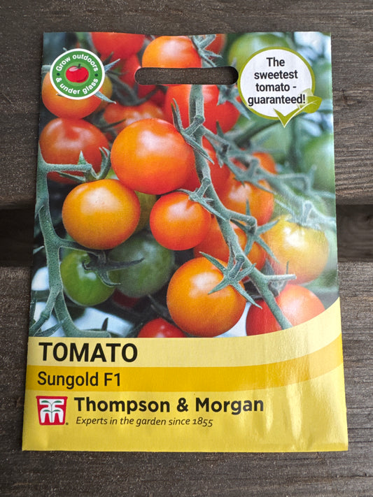SEEDS - Tomato Sungold F1