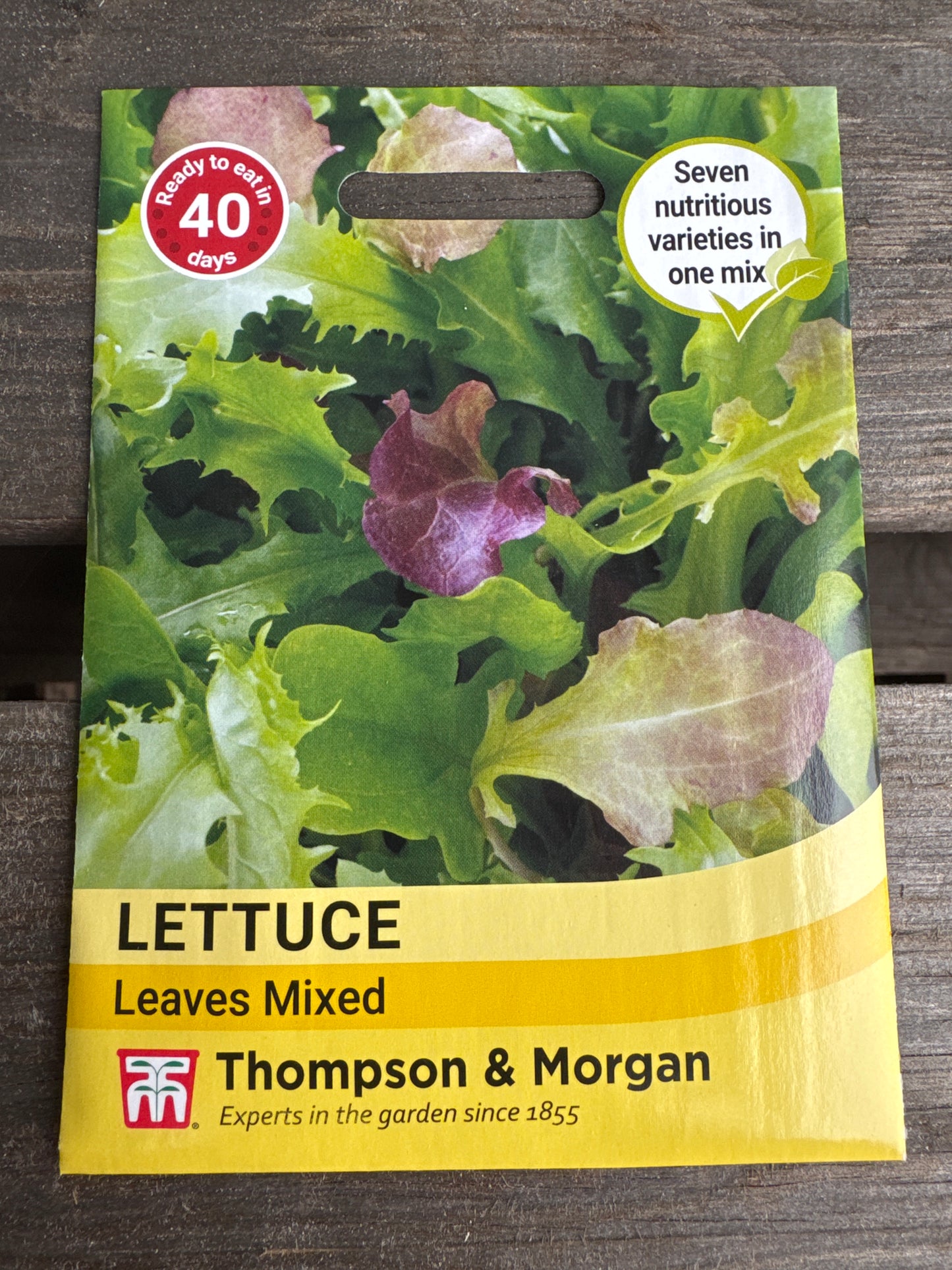 SEEDS - Lettuce Leaves Mixed