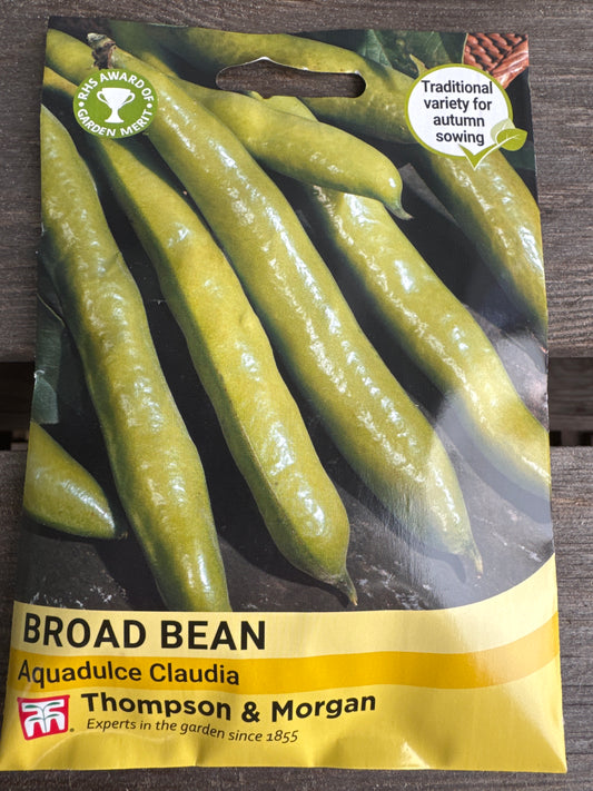SEEDS - Broad Bean Aquadulce Claudia