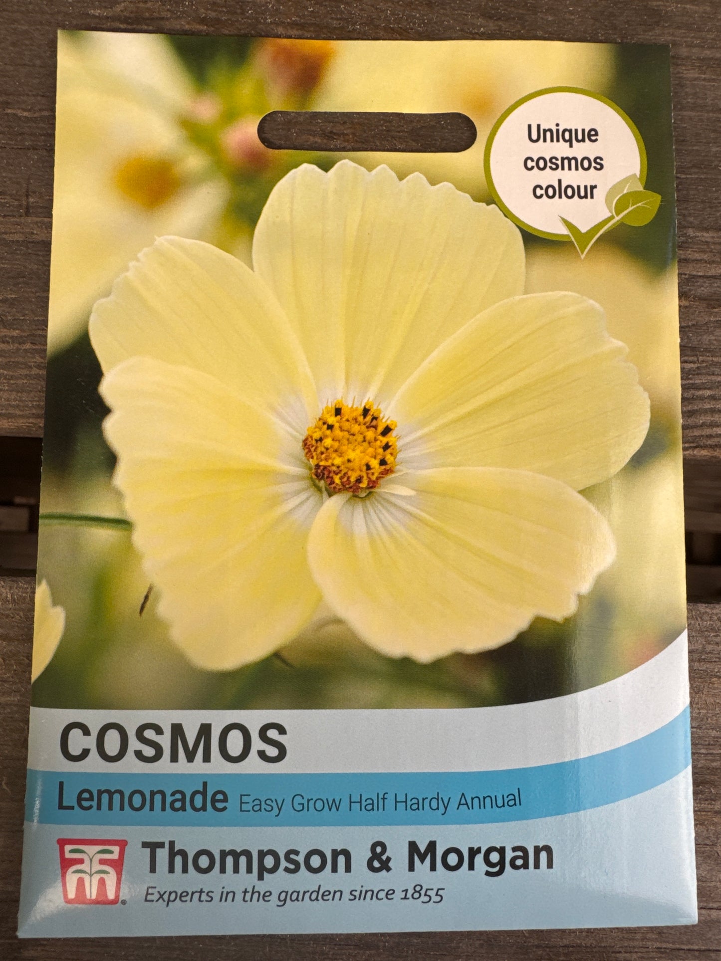 SEEDS - Cosmos Lemonade