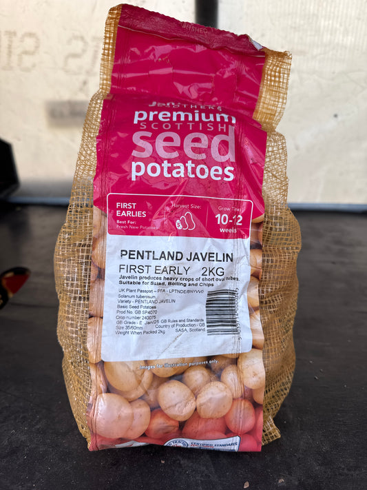 Pentland Javelin - Seed Potatoes - First Early - 2Kg