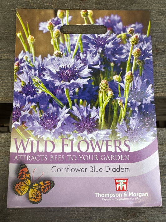 SEEDS - Wild Flower Cornflower Blue Diadem