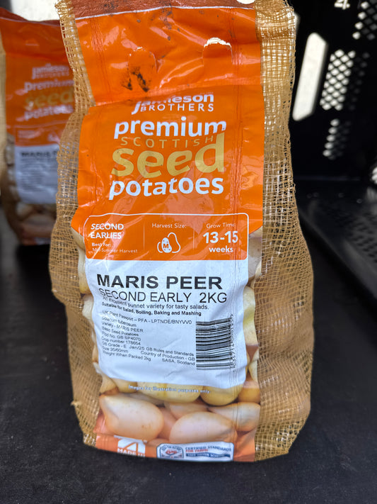 Maris Peer- Seed Potatoes - Second Early - 2Kg