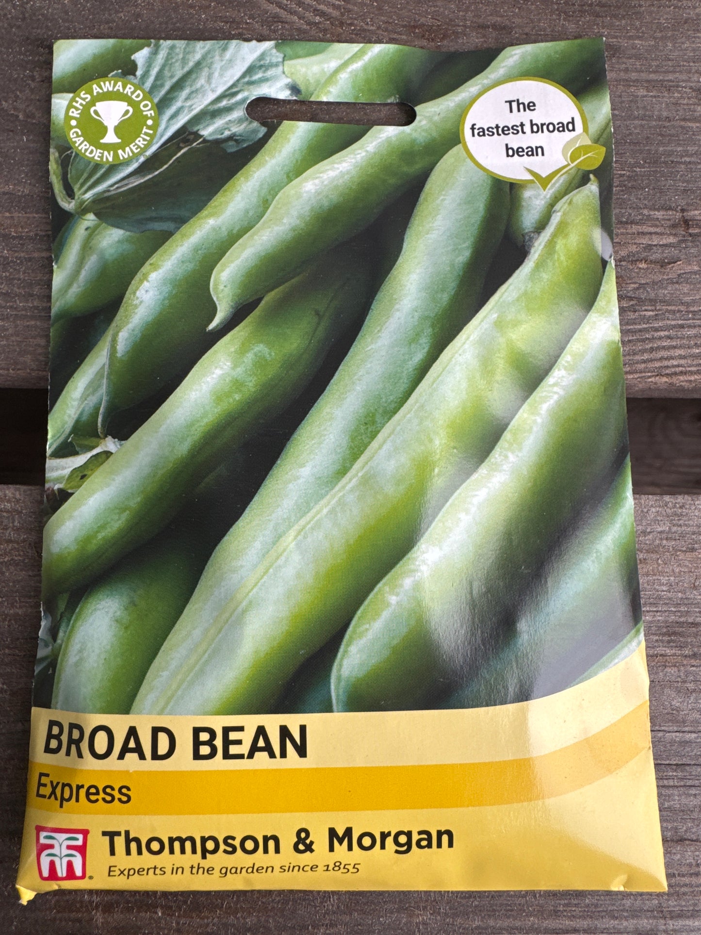 SEEDS - Broad Bean Express