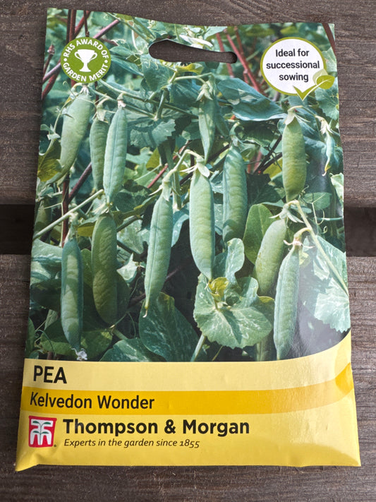 SEEDS - Pea Kelvedon Wonder