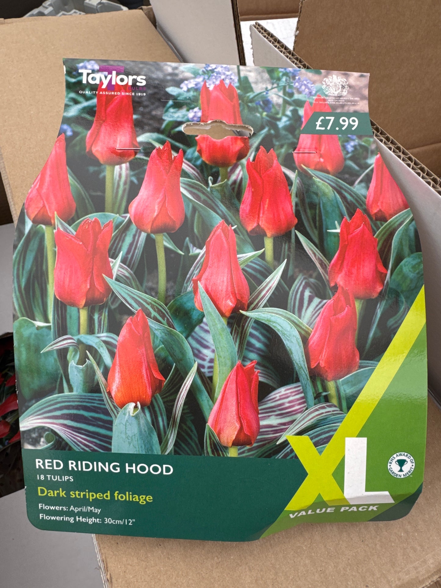 Tulip Red Riding Hood (18 bulbs)
