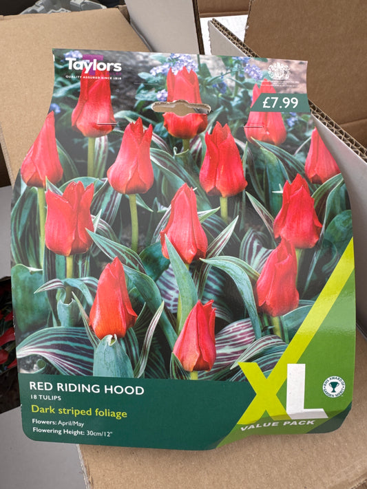 Tulip Red Riding Hood (18 bulbs)