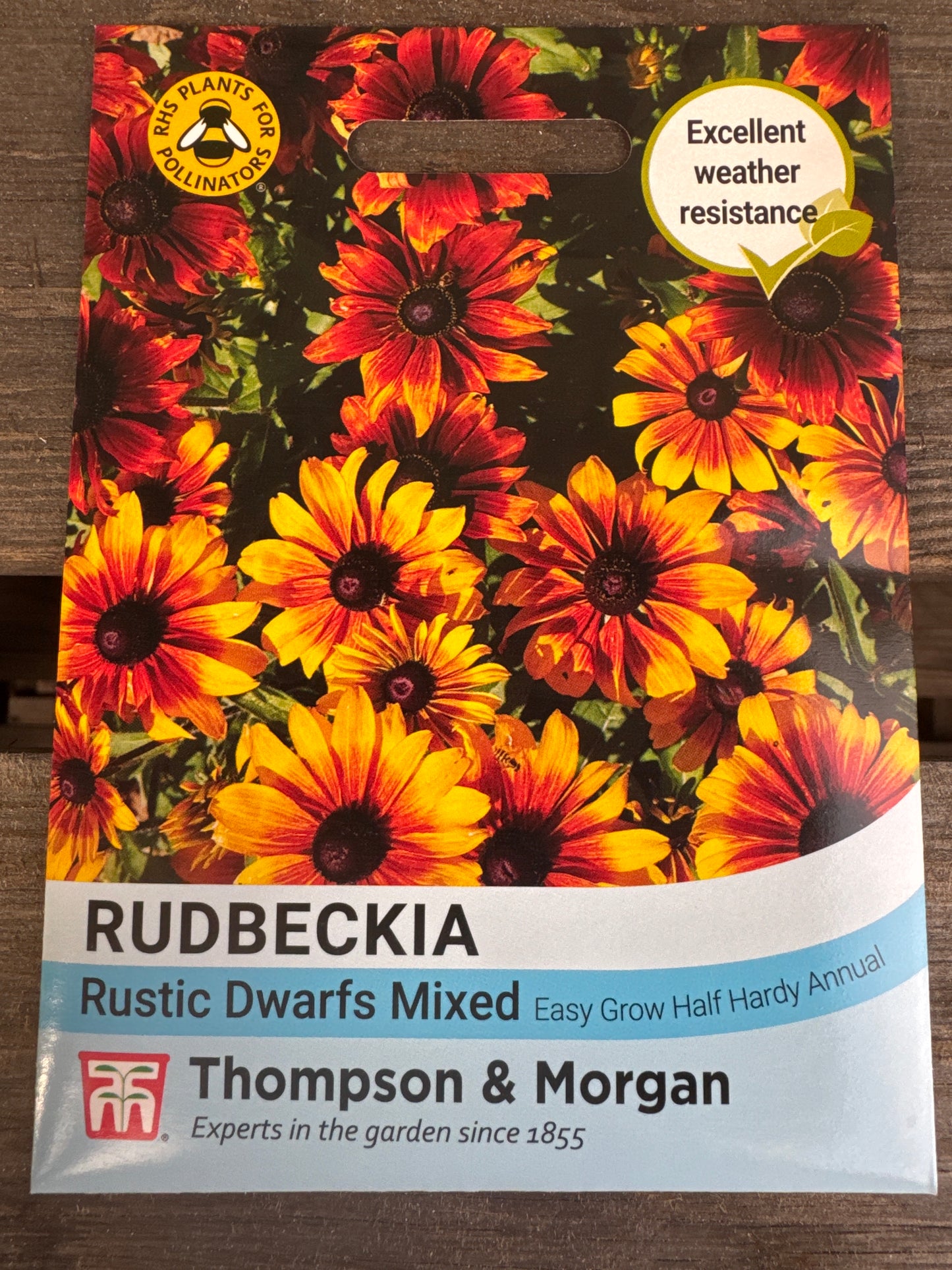 SEEDS - Rudbeckia Rustic Dwarfs Mixed
