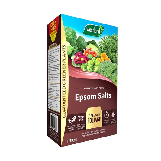 Epsom Salts 1.5kg Box