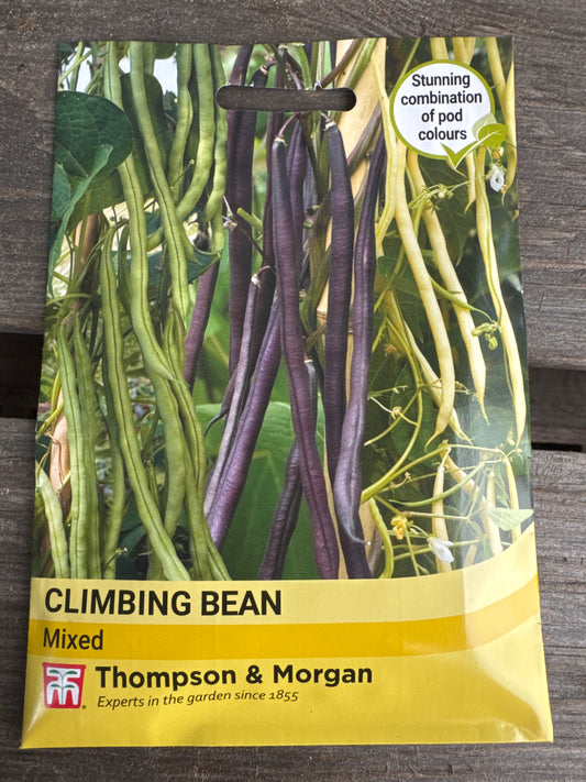 SEEDS - Climbing Bean Mixed