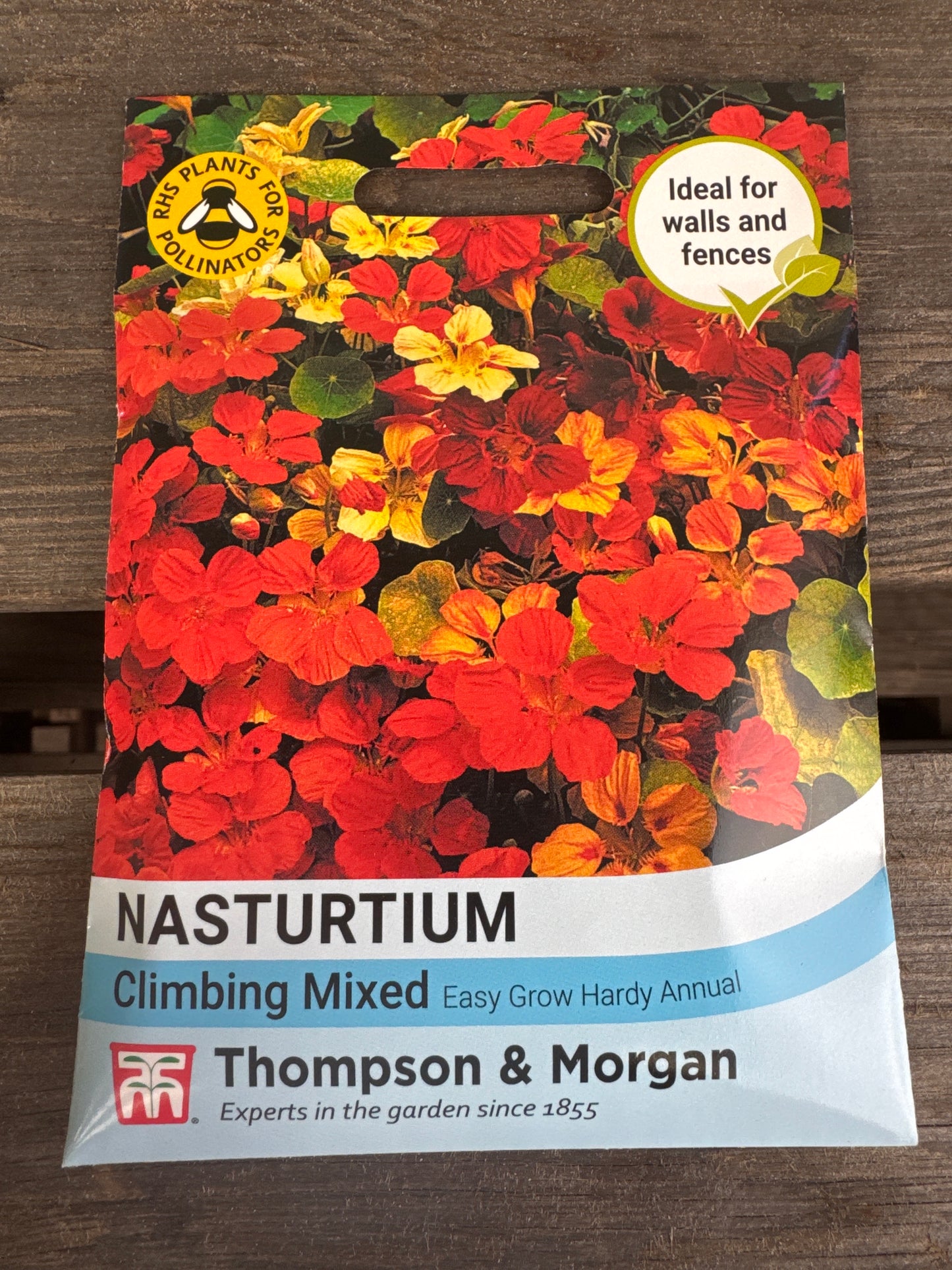 SEEDS - Nasturtium Climbing Mixed