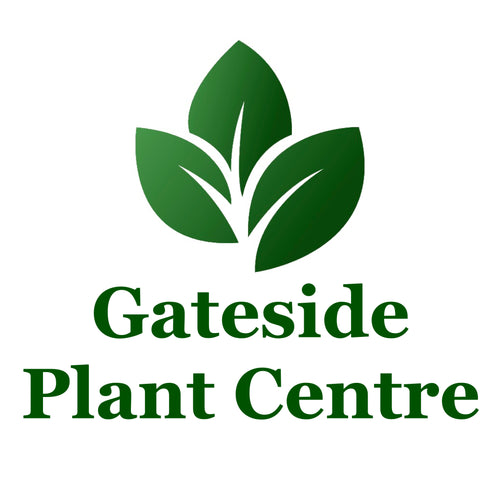 Gateside Plant Centre