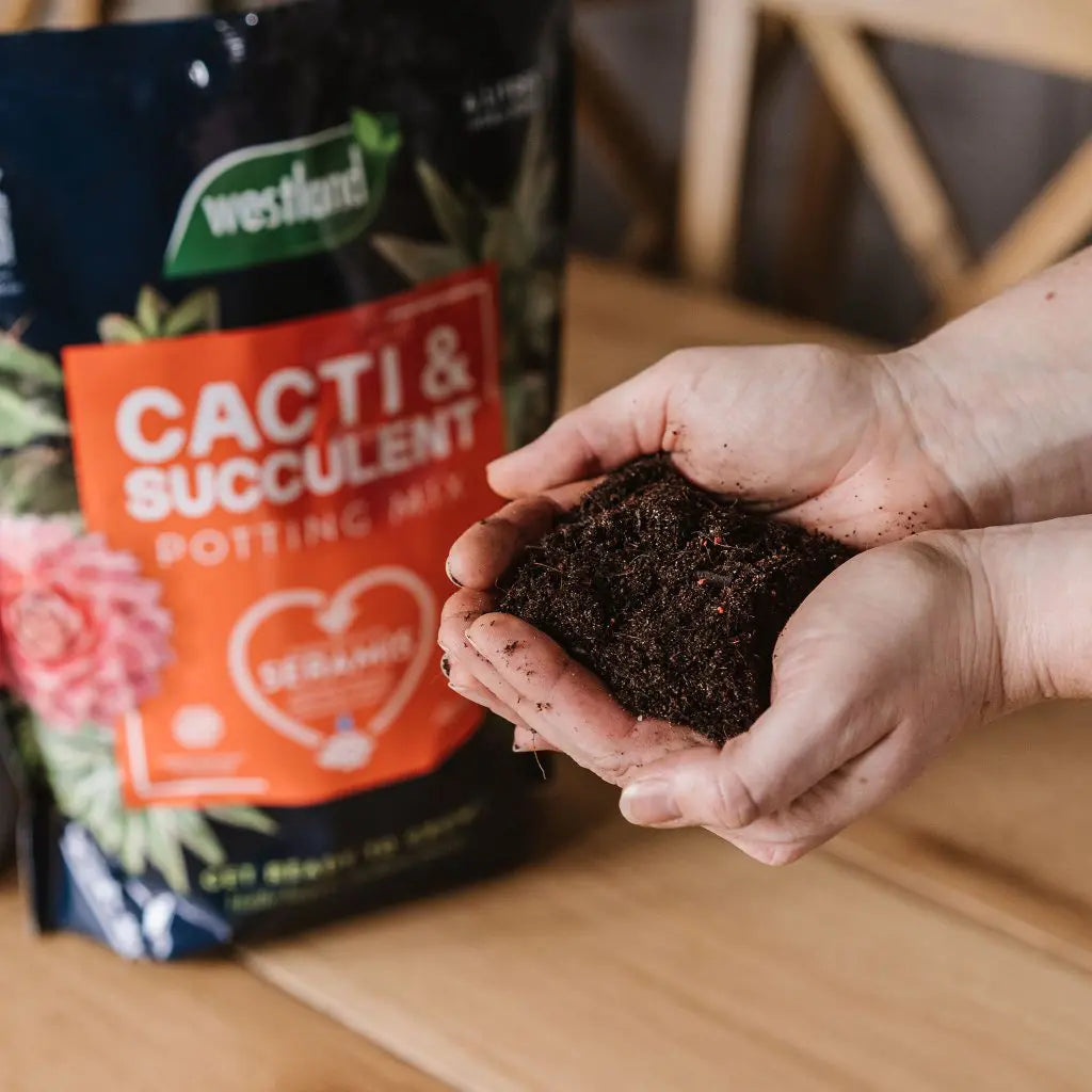 succulent and cacti potting mix Cacti & Succulent Potting Mix 4L (£1.25/L)