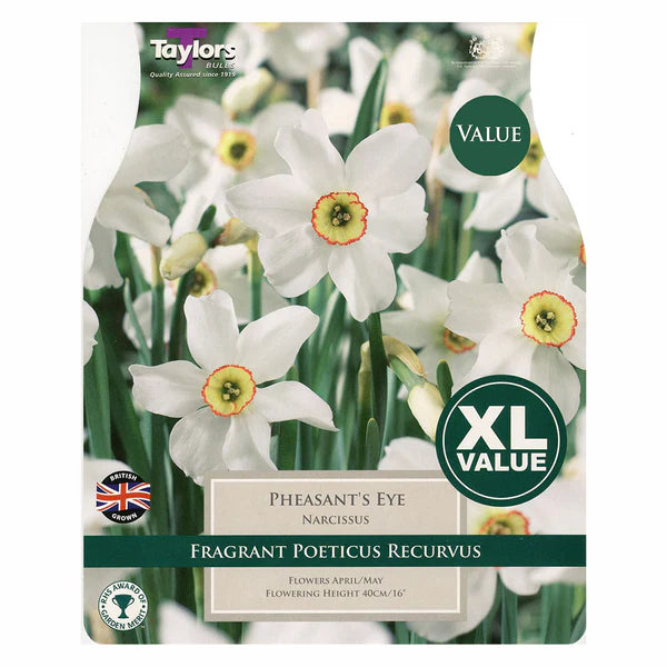 Narcissus Pheasant’s Eye (12 bulbs per pack) size 1cm