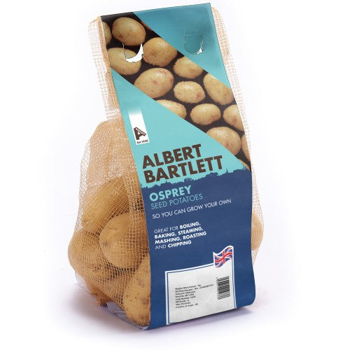 Osprey - Seed Potatoes - Second Early - 2Kg