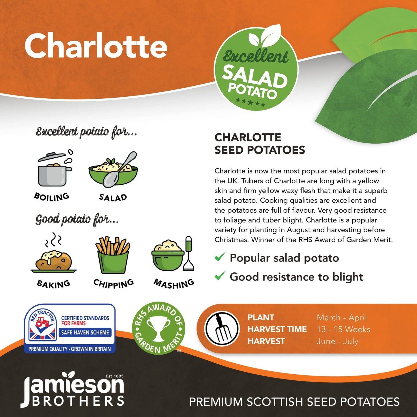 Charlotte - Seed Potatoes - Second Early - 2Kg