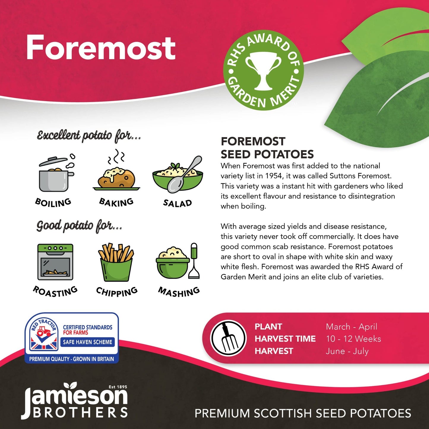 Foremost - Seed Potatoes - First Early - 2Kg